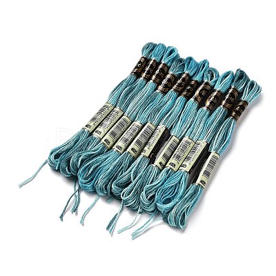 10 Skeins 6-Ply Polyester Embroidery Floss OCOR-K006-A46-1