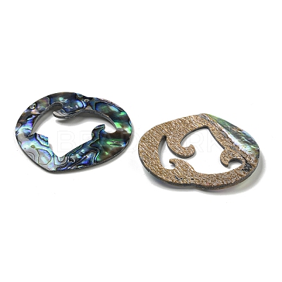Natural Paua Shell Pendants Geometric Charms SSHEL-N038-01B-1