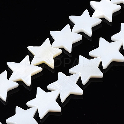 Natural Freshwater Shell Beads Strands LS-SHEL-S278-01D-01-1