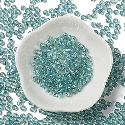 Glass Seed Beads X1-SEED-H002-C-A049-1