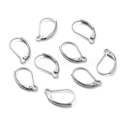 Non-Tarnish 304 Stainless Steel Leverback Earring Findings LS-X-STAS-K233-04P-1