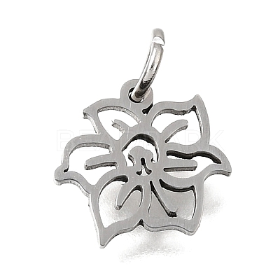 304 Stainless Steel Charms SA-CBA4CE0-01P-C-1