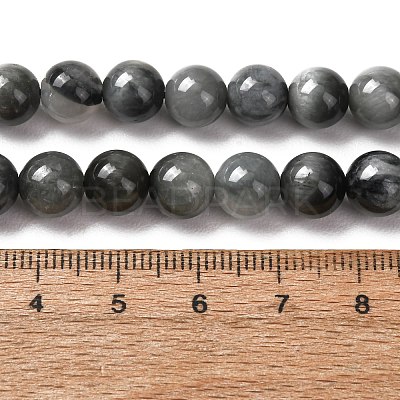 Natural Hawk's Eye Beads Strands G-L478-03-8mm-01-1