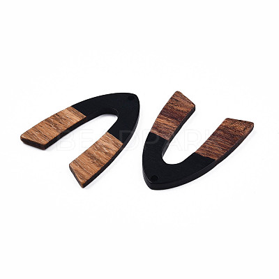 Opaque Resin & Walnut Wood Pendants RESI-N025-029-B-1