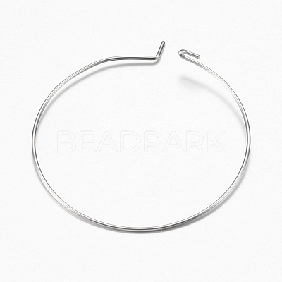 316 Surgical Stainless Steel Hoop Earrings Findings STAS-F149-32P-B-1