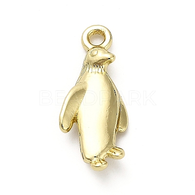 Alloy Pendants FIND-A051-05C-G-1