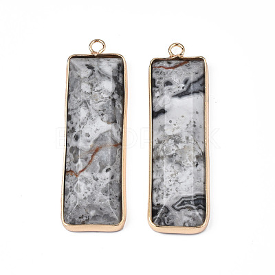 Natural Map Stone Pendants G-S359-386B-1