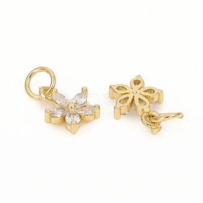 Brass Micro Pave Cubic Zirconia Charms X-ZIRC-L096-10G-1