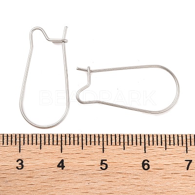Tarnish Resistant 316 Surgical Stainless Steel Hook Earrings STAS-E009-5-1