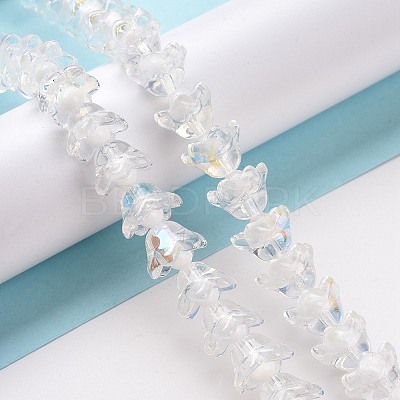 Transparent Glass Beads Strands LAMP-H061-01D-1