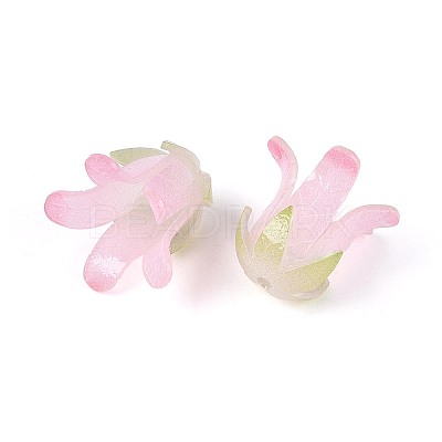 Heat Shrink Acrylic Bead Caps OACR-N155-04B-1