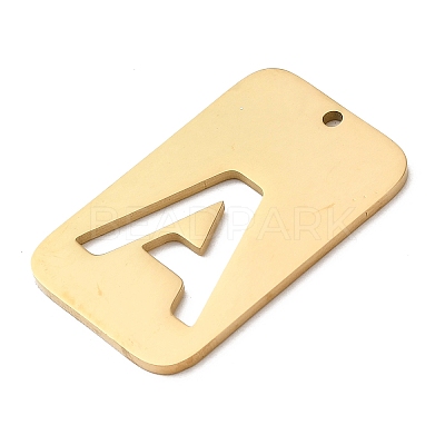 304 Stainless Steel Pendants STAS-D200-01A-G-1