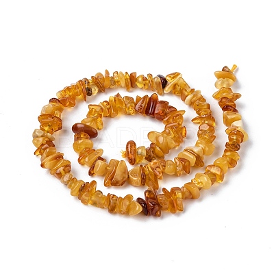 Natural Amber Chip Beads Strands G-E271-81-1