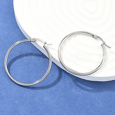 Tarnish Resistant 304 Stainless Steel Hoop Earrings EJEW-F105-08P-1