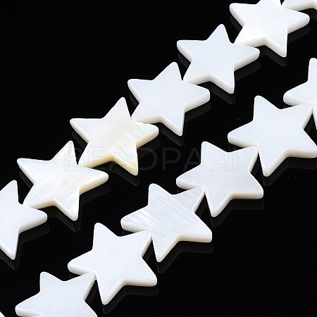Natural Freshwater Shell Beads Strands LS-SHEL-S278-01D-01-1