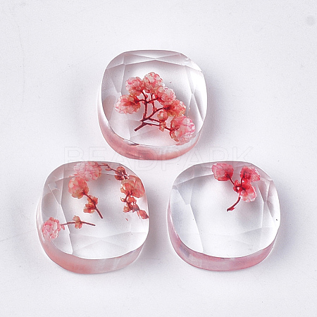 Resin Cabochons CRES-T014-13E-1