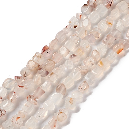 Natural Agate Beads Strands G-F745-01-1