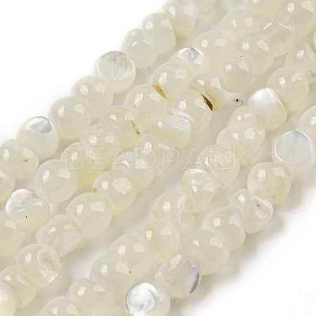 Natural White Shell Dyed Beads Strands BSHE-Z005-03G-1