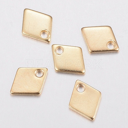 304 Stainless Steel Charms X-STAS-H436-53-1