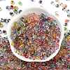 6/0 Spray Paint Fringe Glass Seed Beads X1-SEED-H003-11H-3