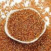 Glass Seed Beads SEED-S042-04A-11-2