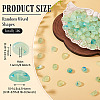 50G Transparent Acrylic Beads TACR-TA0001-62H-3