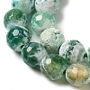 Dyed & Heated Natural Fire Crackle Agate Beads Strands G-P539-B01-21-4