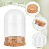 4 Sets Transparent Glass Dome Jar Cloche Display Cases AJEW-PH0011-24B-6