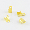 Iron Cord Ends E029-G-1
