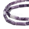 Natural Lepidolite/Purple Mica Stone Beads Strands G-F247-45-5