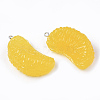 Resin Pendants X-RESI-T028-25B-2