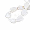 Natural Sea Shell Beads Strands SSHEL-Q296-43-4