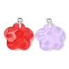 Translucent Resin Pendants RESI-A025-06A-2