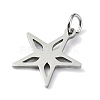 Non-Tarnish 304 Stainless Steel Pendants STAS-C097-67P-2