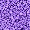 6/0 Glass Seed Beads SEED-T005-14-B04-3