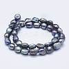Natural Cultured Freshwater Pearl Beads Strands PEAR-K004-02B-2