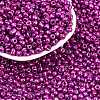 6/0 Glass Seed Beads E06900B4-2