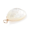 Natural Trochid Shell/Trochus Shell Pendants X-PALLOY-JF01393-5