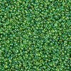 12/0 FGB Grade A Round Glass Seed Beads SEED-Q010-F549-2