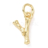 Brass Pendants KK-K165-04Y-1