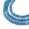 Natural Apatite Beads Strands G-G106-C06-04-3