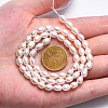 Natural Cultured Freshwater Pearl Beads Strands LS-PEAR-N012-04C-5