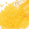TOHO Round Seed Beads SEED-XTR08-0801F-1
