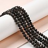 Natural Silver Sheen Obsidian Beads Strands G-E608-A02-C-4