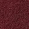 MIYUKI Round Rocailles Beads SEED-JP0009-RR2410-3