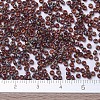 MIYUKI Round Rocailles Beads X-SEED-G007-RR4503-4