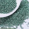 MIYUKI Delica Beads X-SEED-J020-DB0432-1