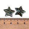 Natural Paua Shell Epoxy Resin Cabochons SSHEL-S279-01F-3