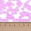 Transparent Colours Glass Seed Beads SEED-P008-01B-04-4