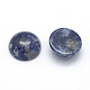 Natural Sodalite Cabochons G-P393-R45-10MM-2